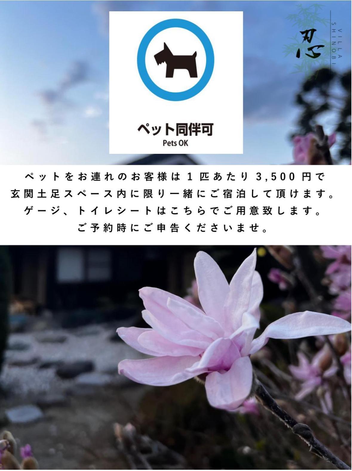Villa Shinobi -忍- Hinase 外观 照片