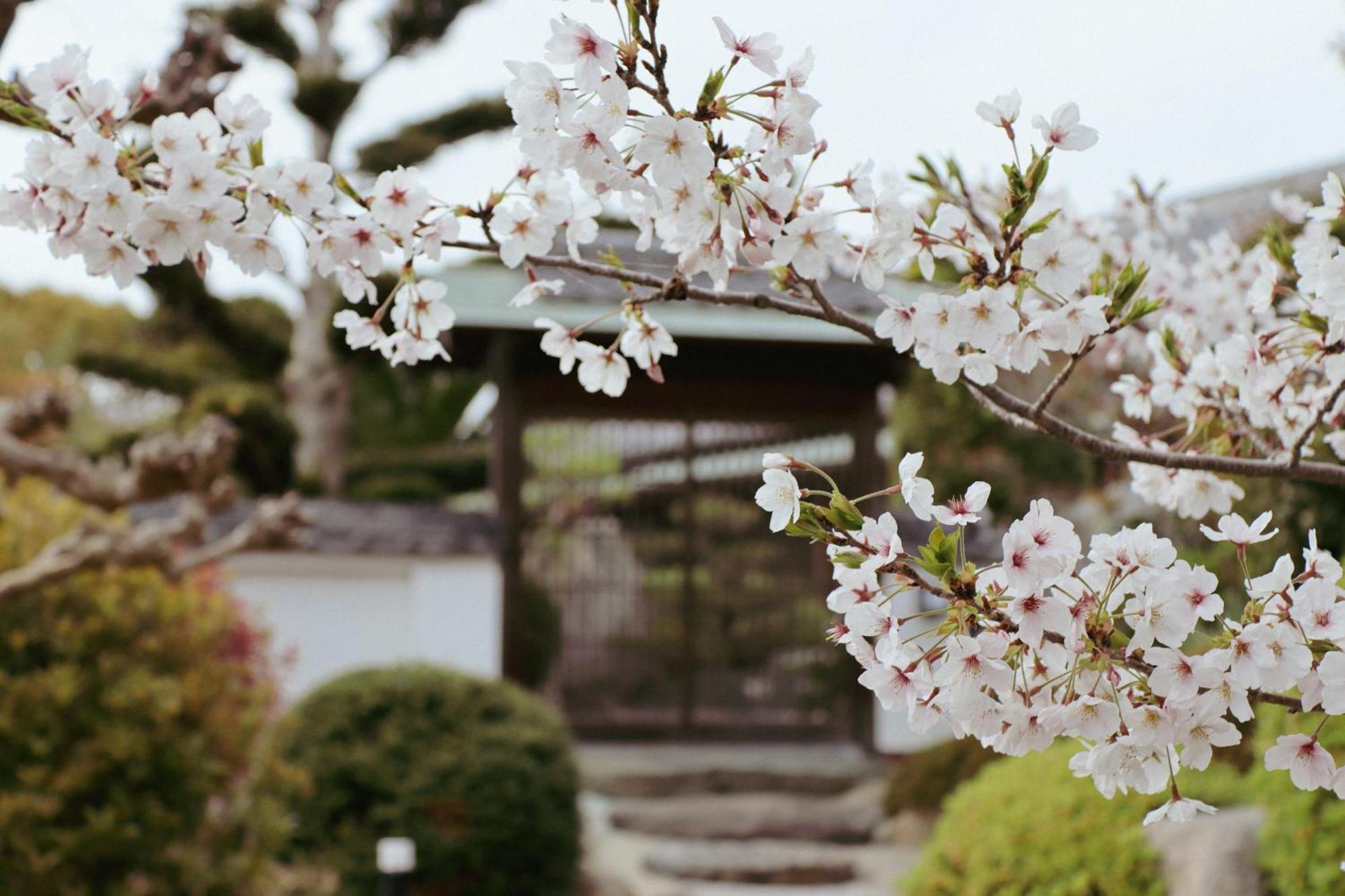 Villa Shinobi -忍- Hinase 外观 照片